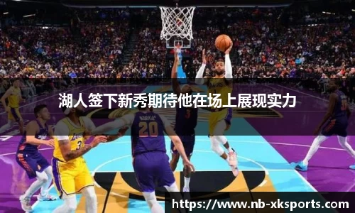 星空体育官网