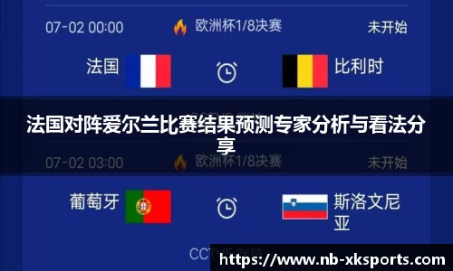 法国对阵爱尔兰比赛结果预测专家分析与看法分享