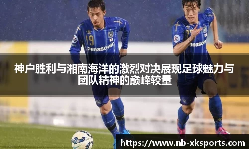 星空体育官网