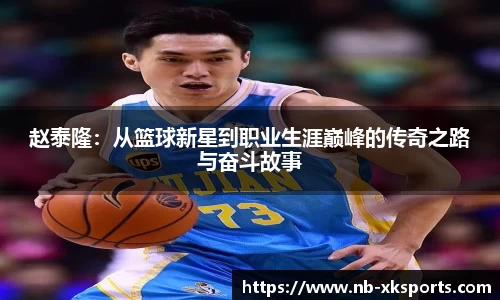 星空体育官网